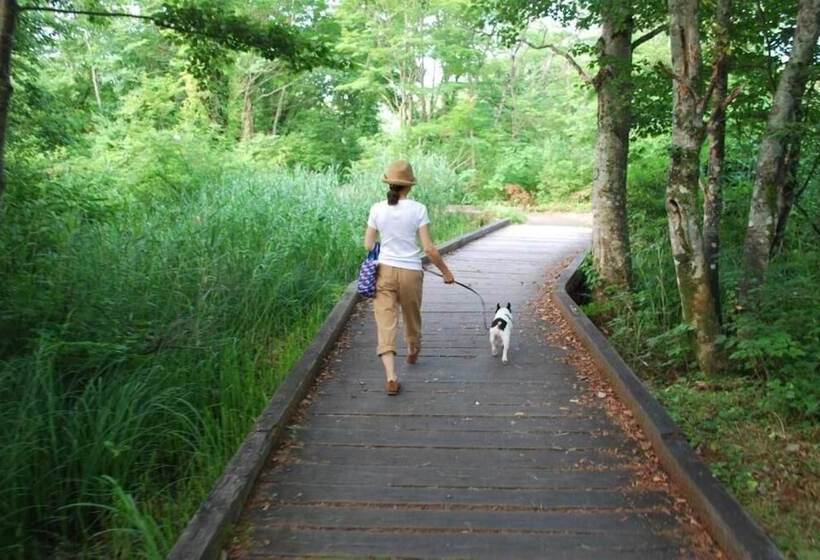 פונדק Donaludo Pension