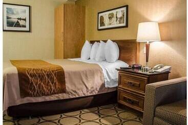 فندق Comfort Inn South Shore