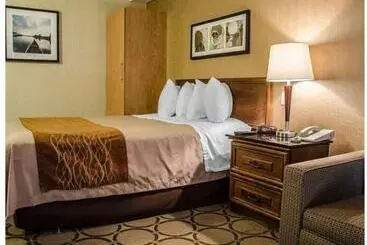 Otel Comfort Inn South Shore