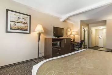 Отель Comfort Suites Downtown