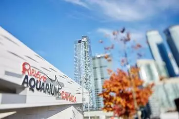 호텔 The Westin Harbour Castle, Toronto