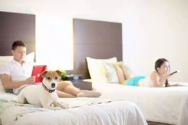 ホテル Capilla Del Mar