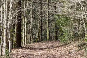 Отель Domaine De locguénolé & Spa