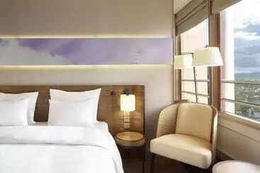 Radisson Blu Hotel, Lyon