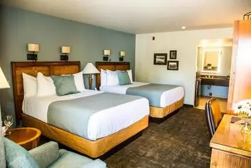 ホテル Adelaide Inn