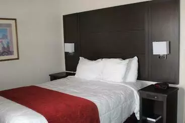 호텔 Lamplighter Inn