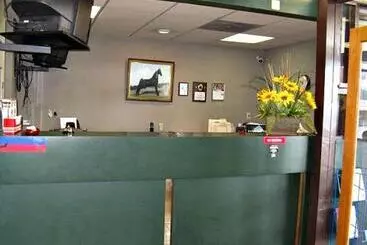 호텔 Walking Horse Lodge