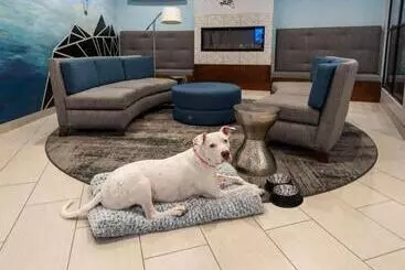 Отель Best Western Plus Wausau Tower Inn