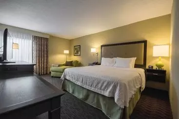 Otel Hampton Inn Meridian