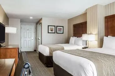 فندق Comfort Inn & Suites Sturbridgebrimfield