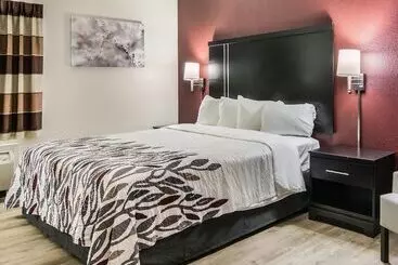 מוטל Red Roof Inn Binghamton North