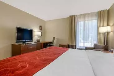 ホテル Comfort Inn & Suites Macon West