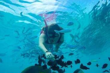 호텔 The White Sand Dunes Rasdhoo