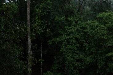 هتل Volcano Gold Loft