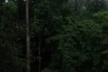 Hotelli Volcano Gold Loft