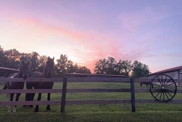 בית מלון כפרי Big South Fork Lodge