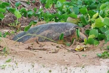 شقق خاصة سياحية Shanaz Beachside Retreat