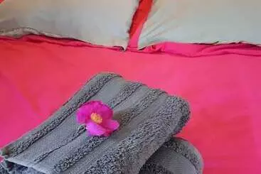 Hotel Camping Des Platanes