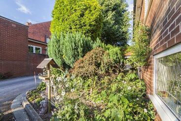 Pensionat Ivy Guest House