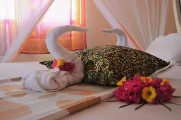 Bed and Breakfast Zanzibar Dream Lodge