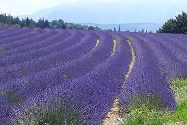 ベッドアンドブレックファースト Eden Roque