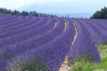 ベッドアンドブレックファースト Eden Roque