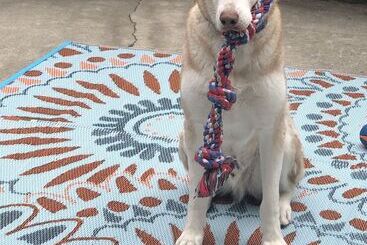 Life Is Good Bed And Breakfast