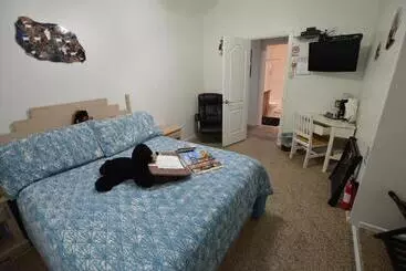 The Bear S Den B&b