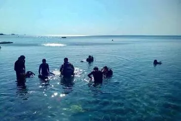 Hotel Bentrina Diving Resort