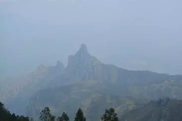 Majatalo Paradise Peak Cottage