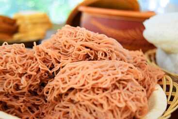 Hotel Wilderness Camping Yala