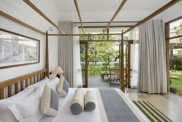 بنسيون Bilin Tree House