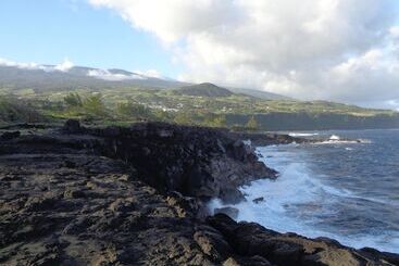 Пансион L Arbre De Vie