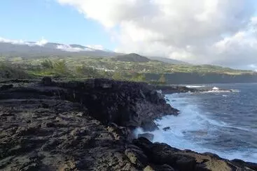 Majatalo L Arbre De Vie