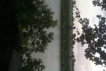 هاستل Buddha S Tree Backpackers Adults Only