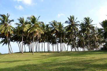 شقق خاصة سياحية Ocean Cottage Kalametiya