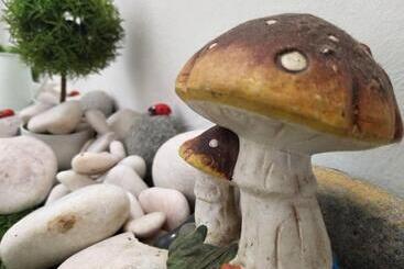 Mari Jari Spastay   Hostel