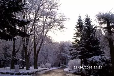 Pension & Gasthaus Kattenstieg