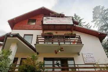 Pensiunea Codrului