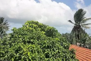 Yoyo Hostel Negombo