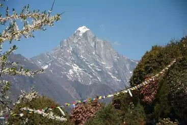 Hôtel Himalaya Lodge