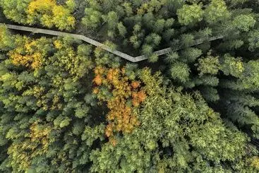 ツーリストアパートメント Tahko Tours