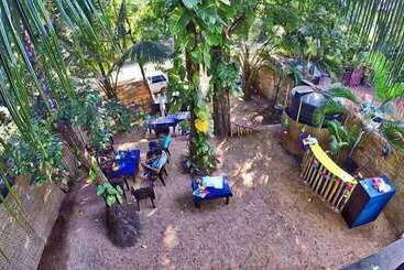 膳宿费 The Funky Monkey