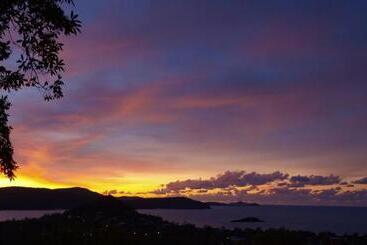 ホテル Whitsundays Rainforest Retreat