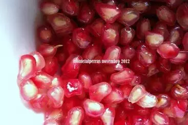 コテージ Monte Falperras