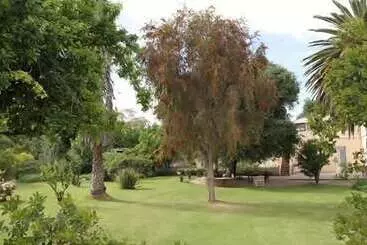 Bed & Breakfast Albert House Guesthouse