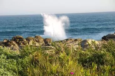 Retkeilymaja Seals Backpackers