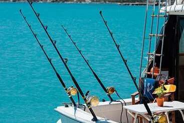 Borsalino Studios & Apartments