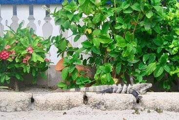 هتل San Pedro Holiday