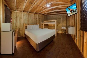 酒店 Natura Treescape Resort